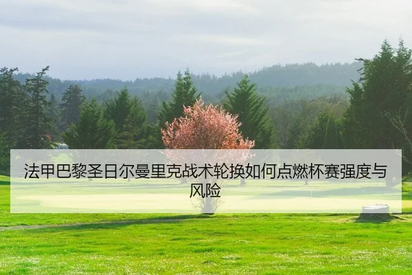 法甲巴黎圣日尔曼里克战术轮换如何点燃杯赛强度与风险
